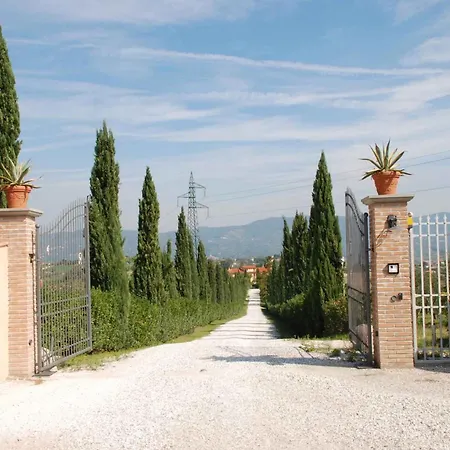 In Cerreto Guidi/toskana 23873 Apartament
